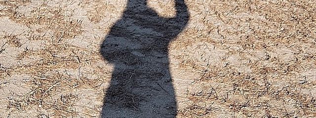 この辺に落ちてる葉 さんの壁紙画像