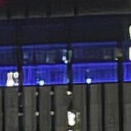 翠葉@低浮上さんのアイコン画像