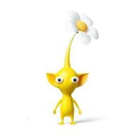 ちわわさんのアイコン画像