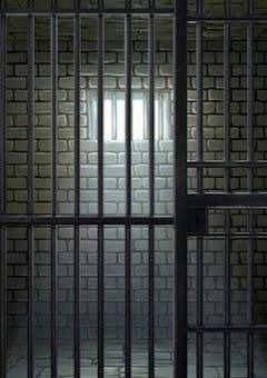 「参加型」有名殺し屋たちは、素性を隠して暮らしています