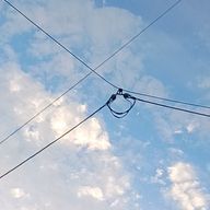 明日さんのアイコン画像