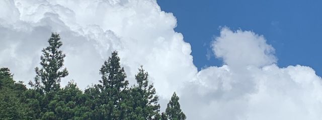 KANNAさんの壁紙画像