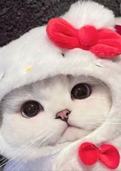 ア イ ド ル = 幼 な じ み！？ ✍🏻❤︎"