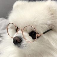 海月🪼️🫧さんのアイコン画像