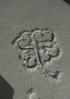 かわいがってください…