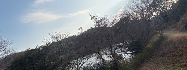 夜空葉海月🪼🌱💫さんの壁紙画像