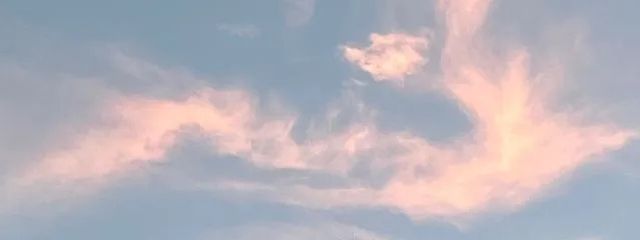 Kon#花がまた咲く場所を探して@受験勉強頑張んべさんの壁紙画像