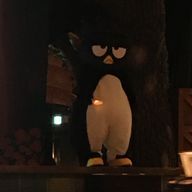 ひよこ🐣さんのアイコン画像