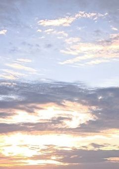 いつかまた出会えたら――