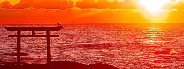 ゆきさんの壁紙画像