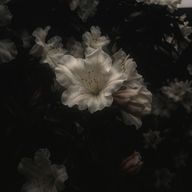 牢さんのアイコン画像