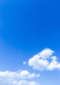 外科医の麗奈先生