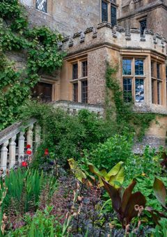 すぺの看板娘 . 