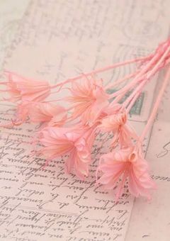 親の再婚相手の子供は今をときめくスーパーアイドルでした