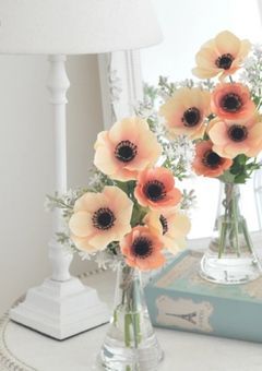 アネモネの花が枯れるまで
