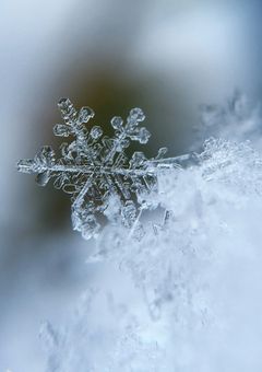 永遠の誓い　雪の夜に交わした約束