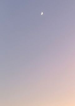 にじさんじ新人ライバーはアイドル。