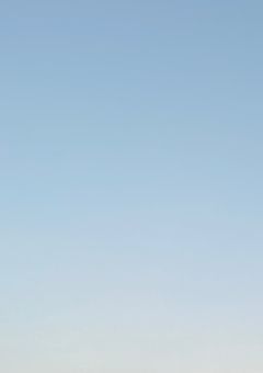 大親友は、配信者でした。