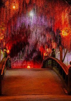 一万年と二千年前から愛してる。