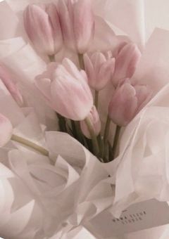 輝く瞳の向こう側