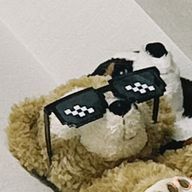 ___dsic🌷🐱さんのアイコン画像