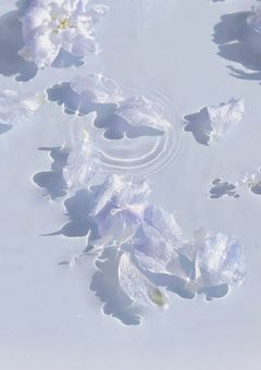 バイト先、尊敬さんのおうち。