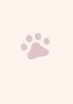 stxl & crxv 短編集