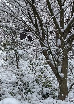 立ち入り禁止の本屋さん