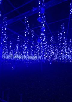 超特急BGは殺し屋だった