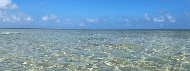 ⭐️亜野璢⭐️さんの壁紙画像