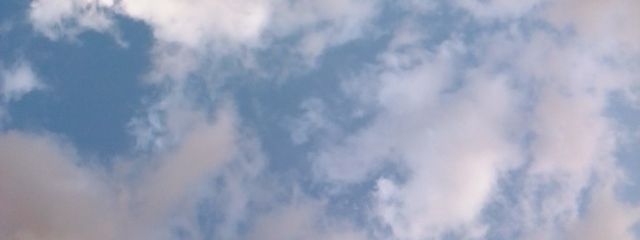 色葉さんの壁紙画像