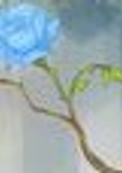 今日 , 好きになりました  。