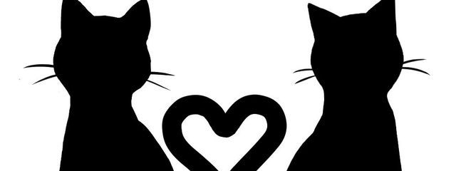 るか さんの壁紙画像