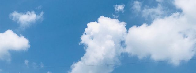 れいなさんの壁紙画像