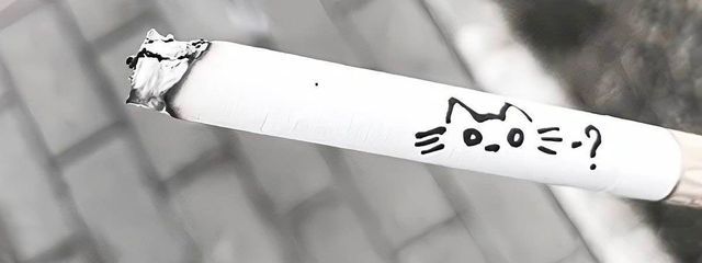 黒ﾆｬﾝさんの壁紙画像