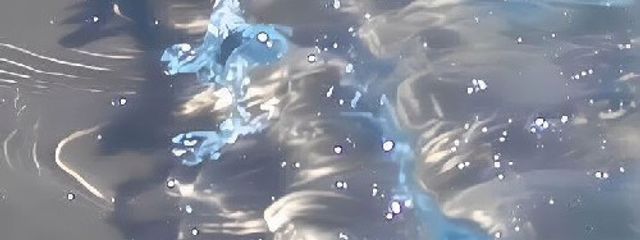 ゆかさんの壁紙画像