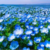 つぶつぶさんのアイコン画像