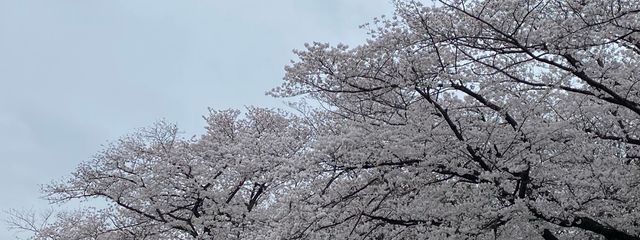 亜衣莉さんの壁紙画像