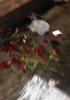    __   儚く散った  、淡い片思い  , 