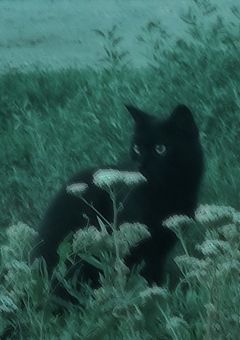 　　　　寤寐思服　　<3　　,