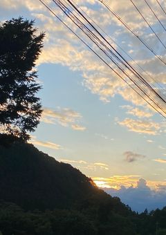 幼馴染の好きな人