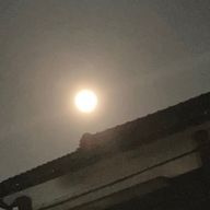 々さんのアイコン画像