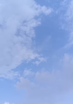 æ æ
ã ç¥ ã 㪠ã ç§ ãš é æ±