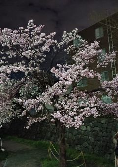 ノート