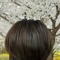 のあさんのアイコン画像