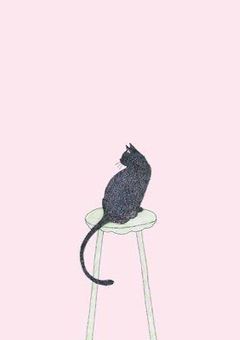 🐱