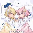 菜望＆萌菜