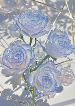 君の一言考えさせてよ