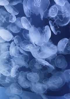 なんで生きてるんだっけ………?