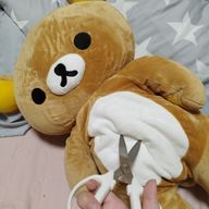 ぽっきーさんのアイコン画像